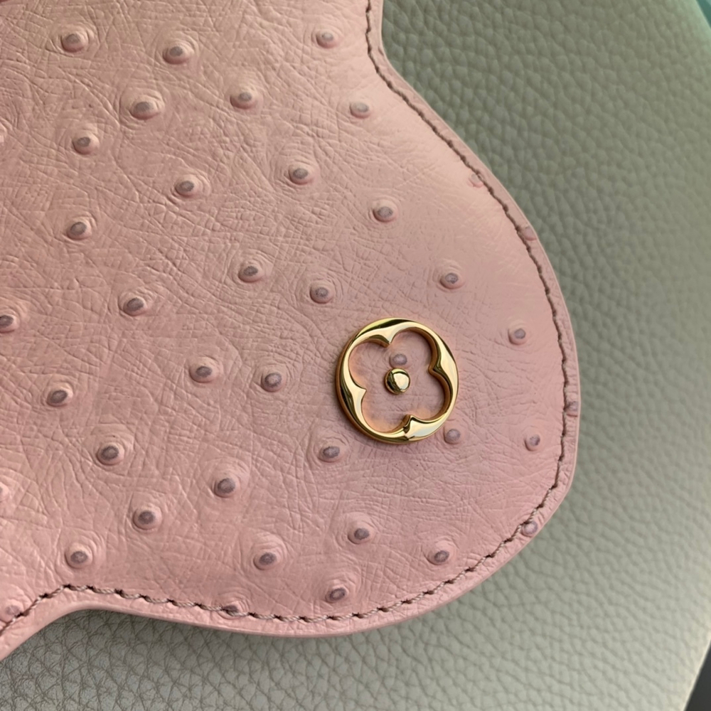Louis Vuitton Capucines MM