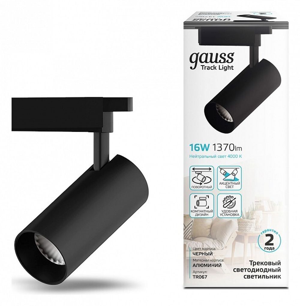 Светильник на штанге Gauss TR TR067