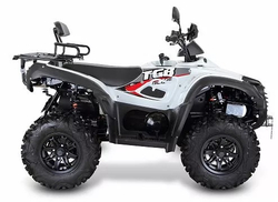 Квадроцикл TGB Blade 500 SL (ПСМ)