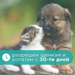 Сахарные кубики от гельминтов, широкого спектра действия для собак и кошек Поливеркан Ceva, 8шт. Никлозамид/Оксибендазол