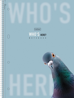 8t248y0lp53dt8r96m3ttg1659wjcs21