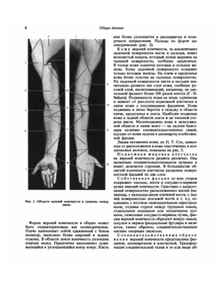 Атлас топографической анатомии человека. Том 3. Верхняя и нижняя конечности | Ю.Л. Золотко