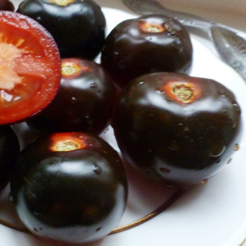 Помидоры - Indigo Rose - Индиго Розе