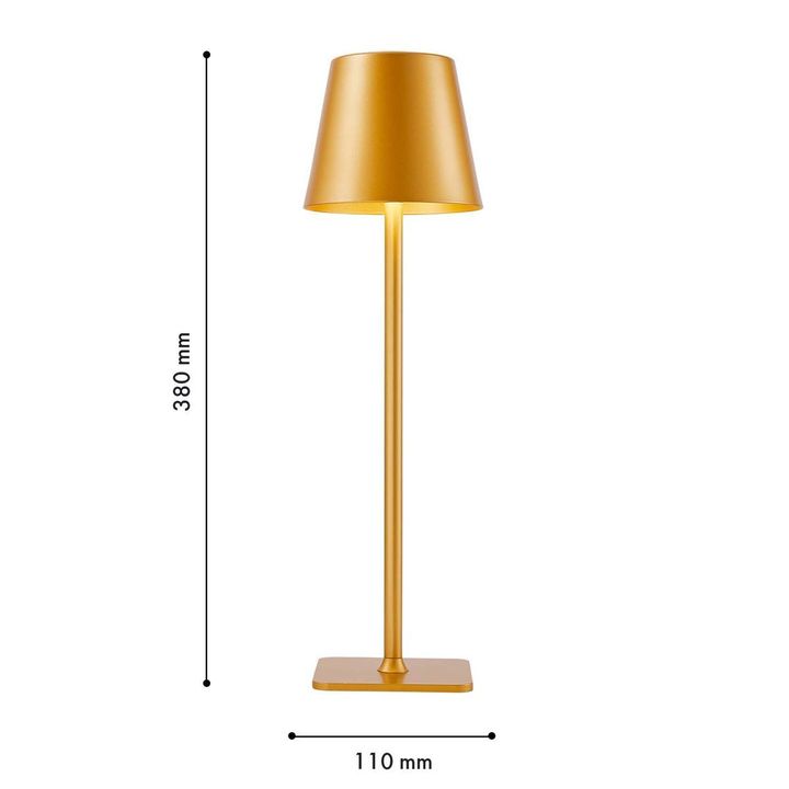 Настольная лампа F-Promo Pyari 4616-1T