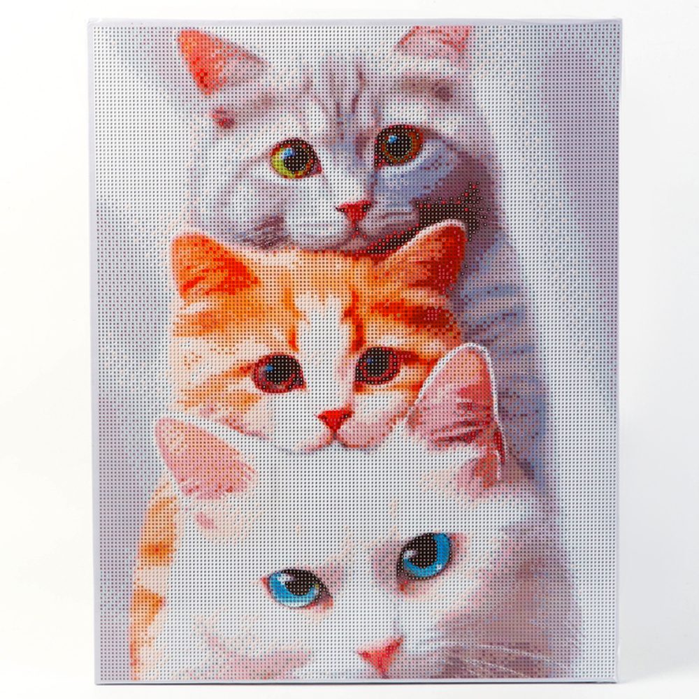 Алмазная вышивка полное заполнение "Котята", на раме, 40*50 см 9929696
