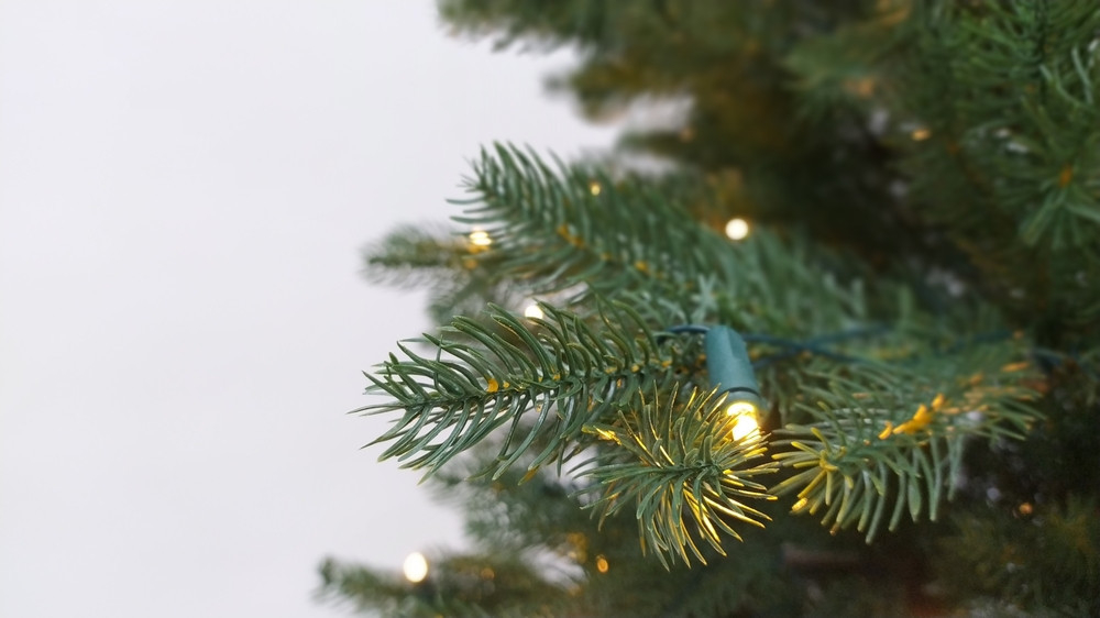 Ель Швейцарская 100% литая 215см 300 ламп зеленая Black Box