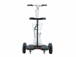 Трицикл WELLNESS EASY 350w
