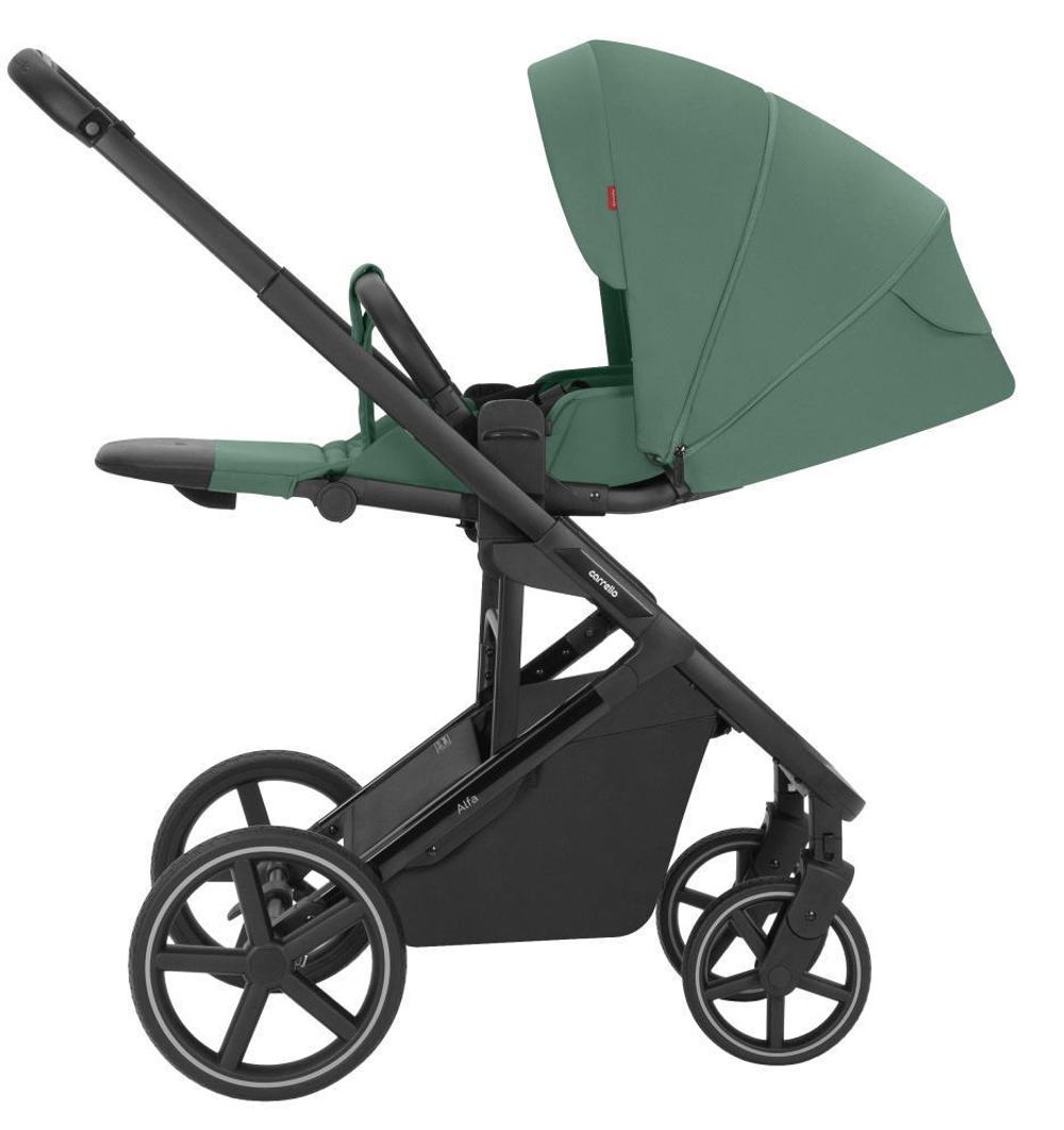 Коляска Carrello Alfa CRL-6522 2025 Nova DK791 Grey Line 3 в 1 Meadow Green