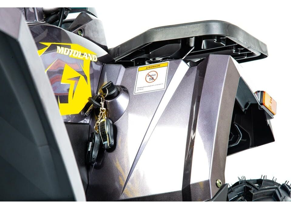 Квадроцикл MOTOLAND 200 WILD TRACK X PRO