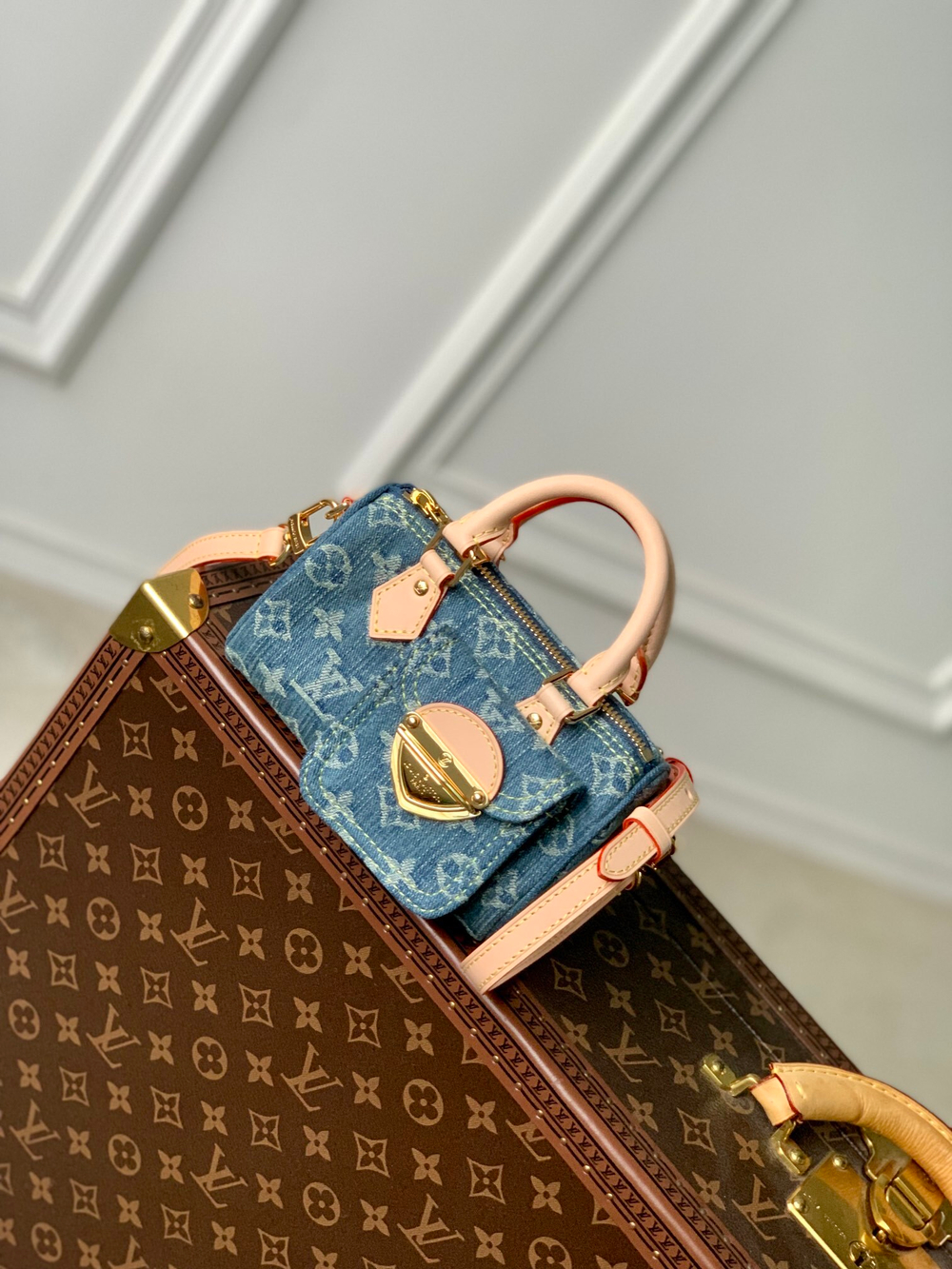 Louis Vuitton Nano Speedy