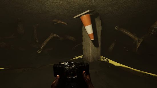 Игра MADiSON Possessed Edition (PS4, русские субтитры)