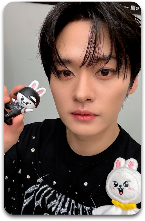 Карта / STRAY KIDS #3595