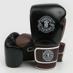 боксерские перчатки HT HardLea Black/Brown
