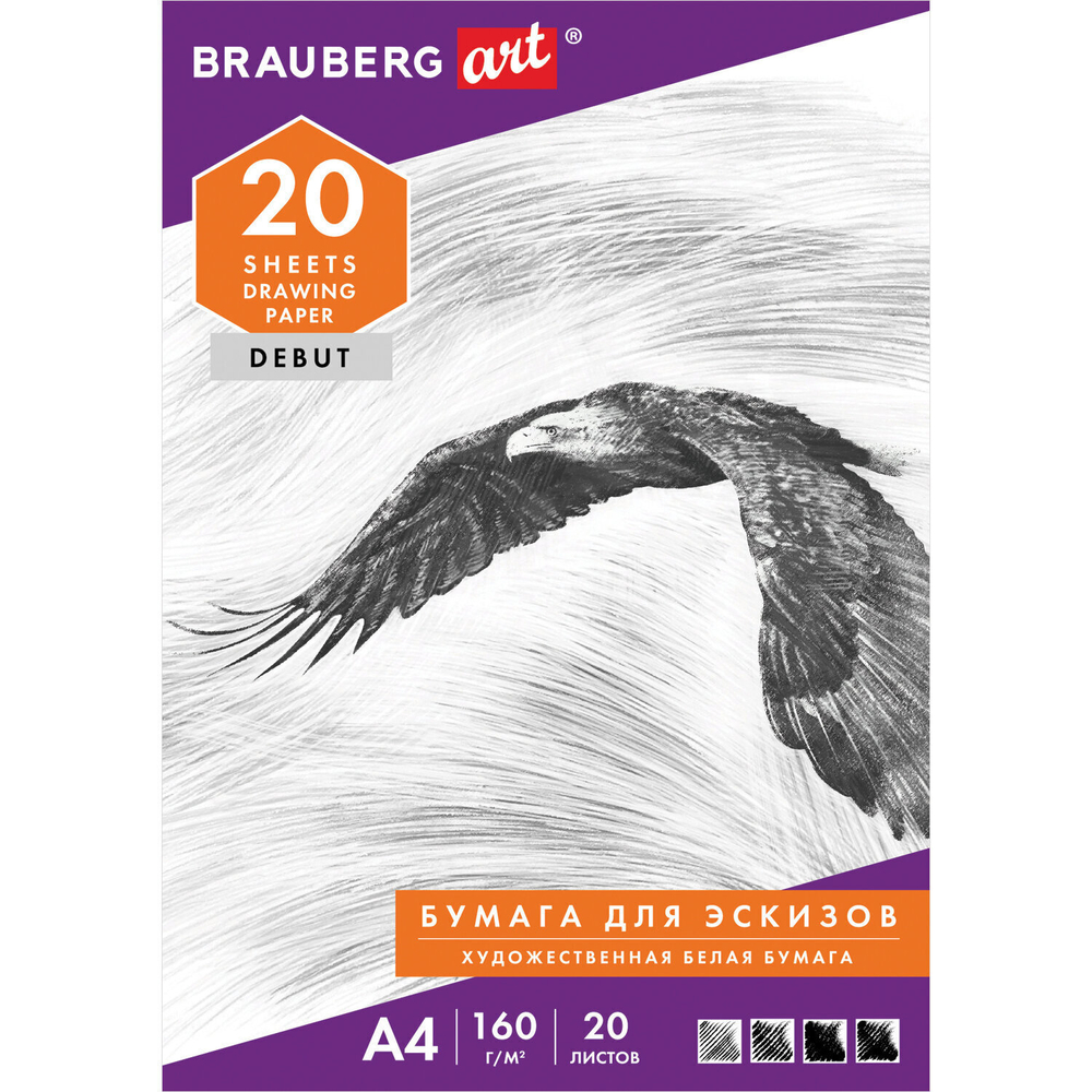 Папка для рисования А4 20 л. 160 г/м2 BRAUBERG 210х297 мм "Орел" (10 штук в упаковке)
