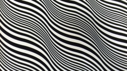 Микровелюр Xpoint 0072.01 Зебра