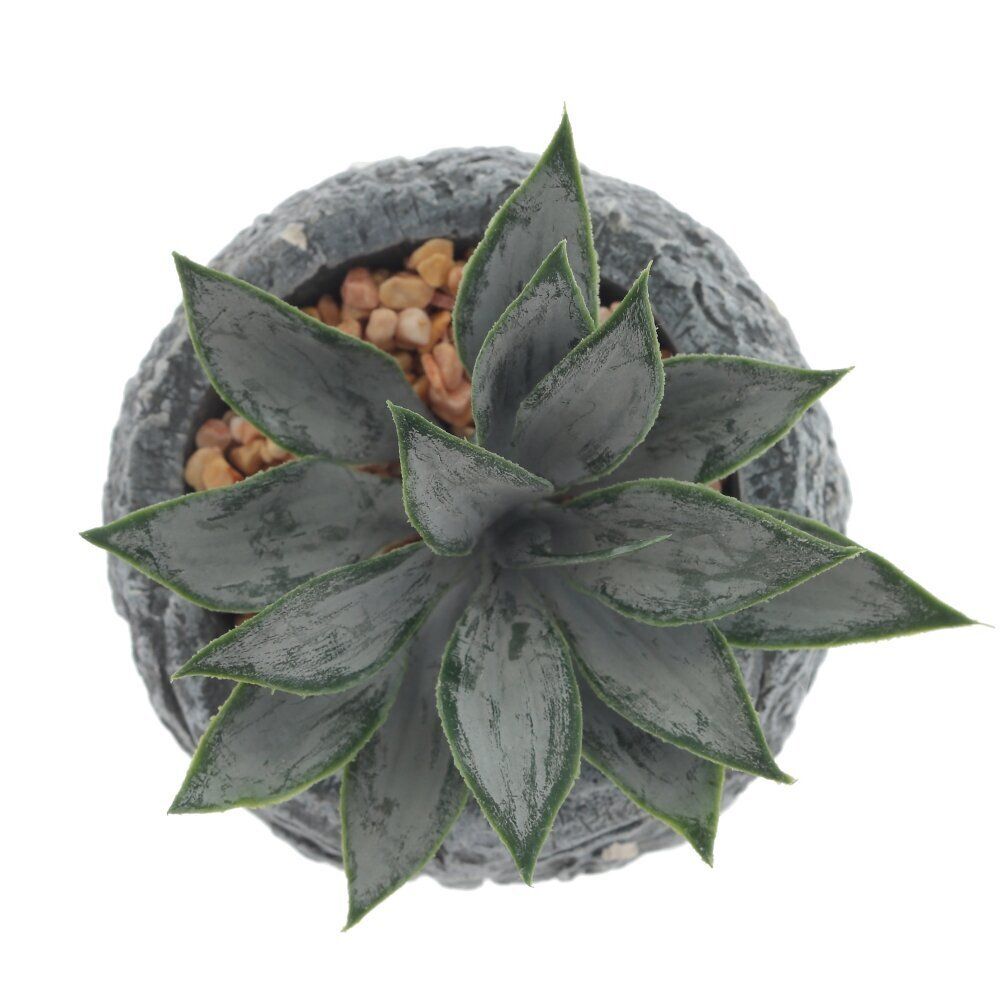 GAEM Цветочная композиция "Суккулент", L11 W11 H12 см