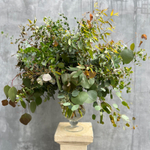 🍀 Музыка трепетных листьев — звучание множества сортов эвкалипта — Ø ~ 90 см