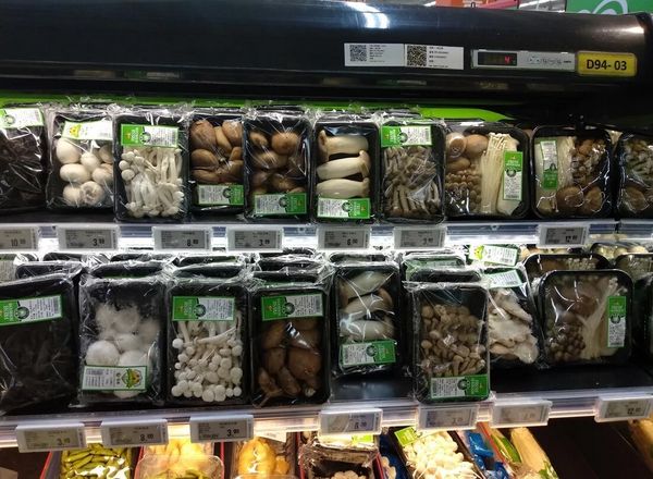 Топ-5 необычных свежих грибов, которые можно купить в магазине