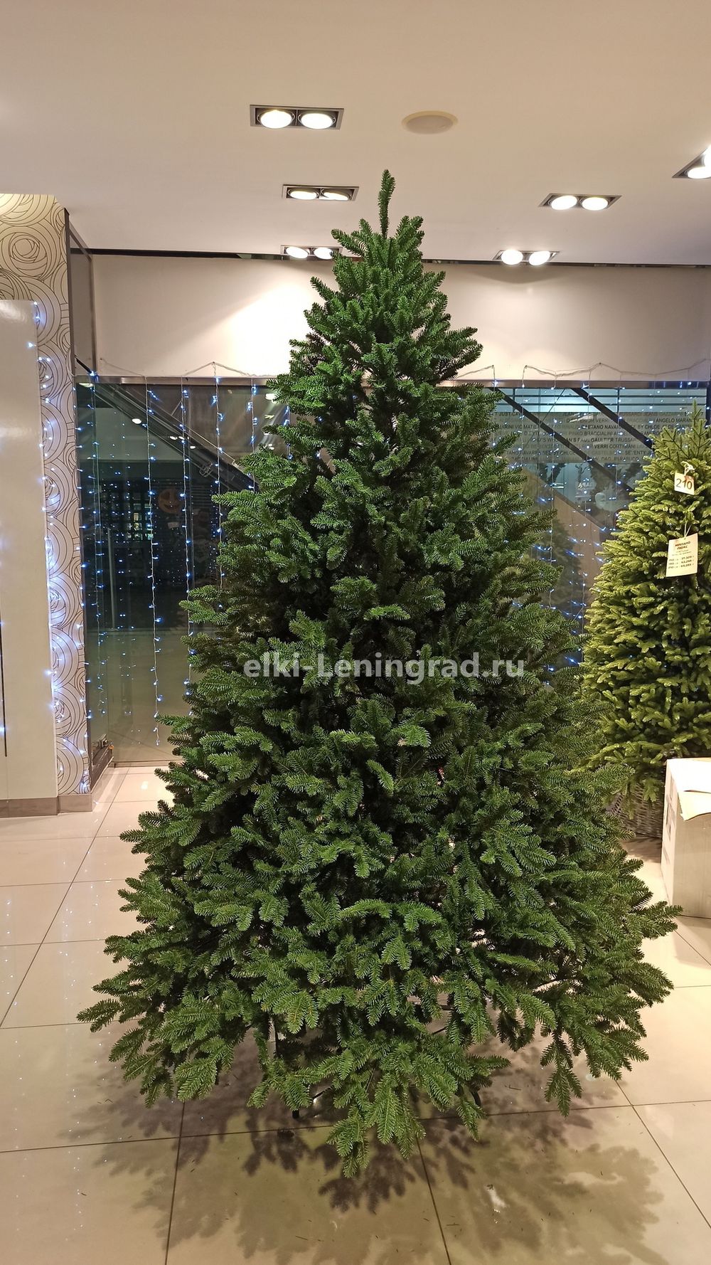 Искусственная ель «Монтерей» (Литая хвоя) от 1.5 до 2.4 м