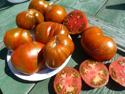 Помидоры - Berkeley Tiy Dye Heart - Сердце в стиле Тай Дай