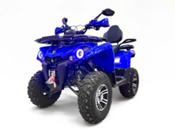 Квадроцикл бензиновый MOTAX GRIZLIK 200 ULTRA BIG
