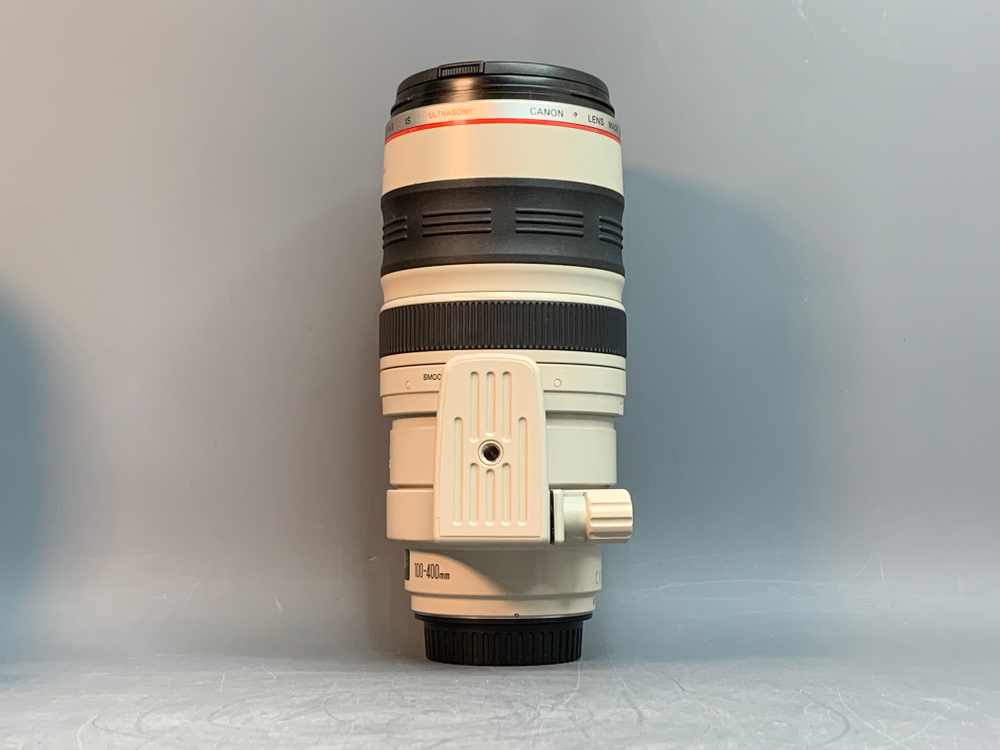 Canon EF 100-400mm 4.5-5.6L IS