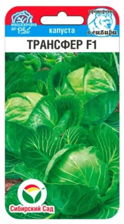 Капуста белокочанная Трансфер F1 10шт (Сиб Сад)