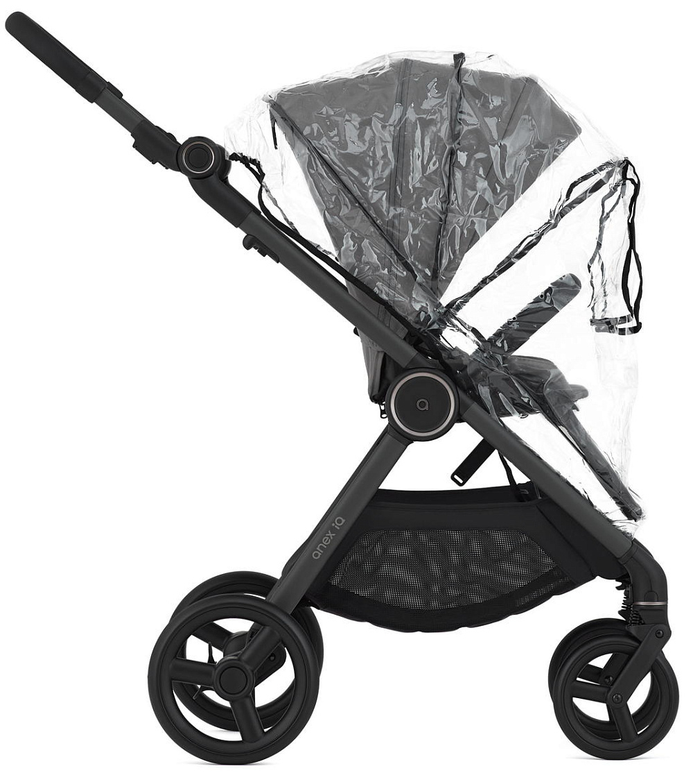Детская коляска Anex iQ Basic NT 2 в 1 Lune