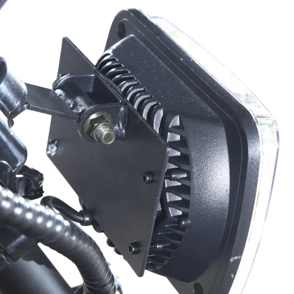 Электроскутер CityCoco Skyboard MyRussia (Маруся) BR60 3000W Trike