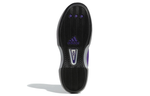 Кроссовки Adidas Crazy 1 "Regal Purple"