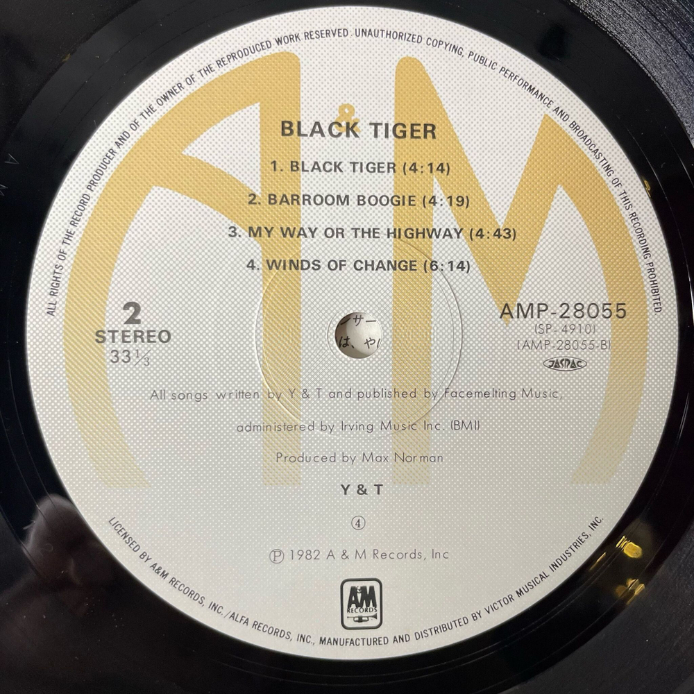 Винтажная виниловая пластинка LP Yesterday and Today (Y and T) Black Tiger (Japan 1982) (Obi)