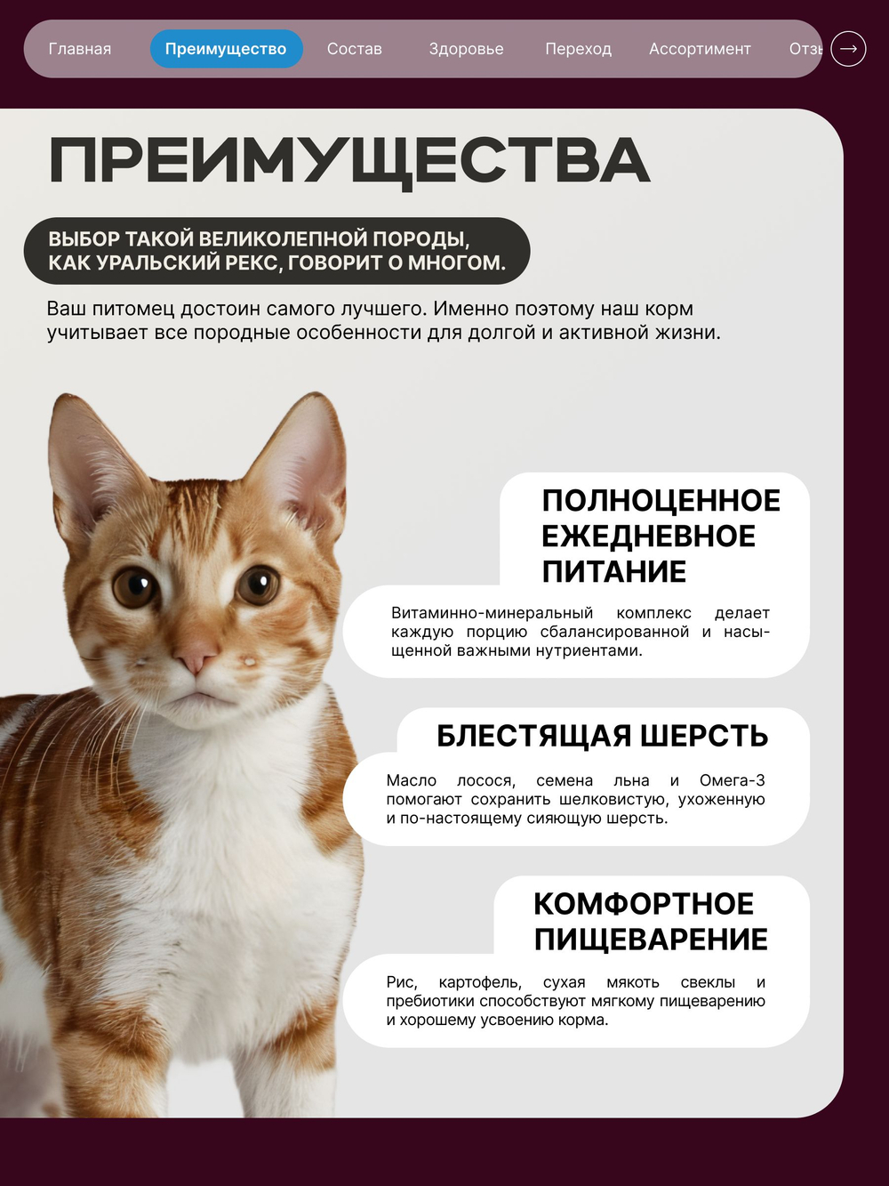 Корм сухой для взрослых кошек породы Уральский рекс, с лососем, 400 гр, QUATTRO