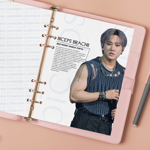 Принт / Разделитель А5 / STRAY KIDS / Чанбин