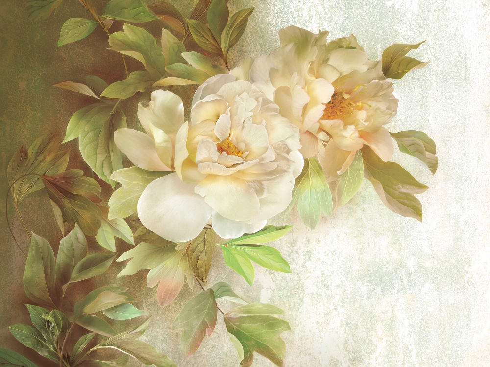 Коллекция Flower Dreams
