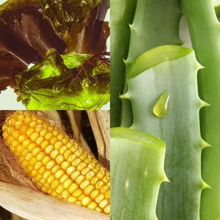 Somelove Невесомый тонизирующий крем для увлажнения кожи РЕФИЛ 50 мл