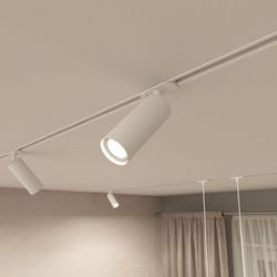 Светильник на штанге Denkirs DK620 DK6202-WH