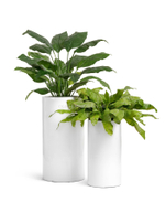 Кашпо TREEZ Effectory - серия Gloss - Цилиндр высокий- Белый глянцевый лак