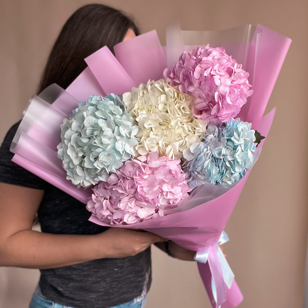 Разноцветные гортензии 5 шт