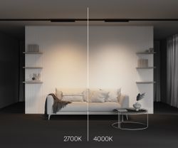 Трековый трехфазный светодиодный светильник Maytoni Trinity   TR196-3-20W4K-B