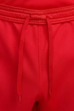 Шорты Nike Dri-Fit League 3