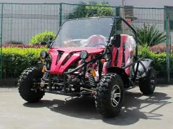 Багги Green Camel Намиб A5000 (60V 3999W R10 Дифференциал)