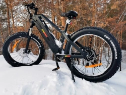 Электровелосипед InoBike Grand Dad