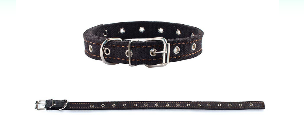 Cootton ошейник для собак брезентовый двухслойный универсальный 30 мм до 62 см.