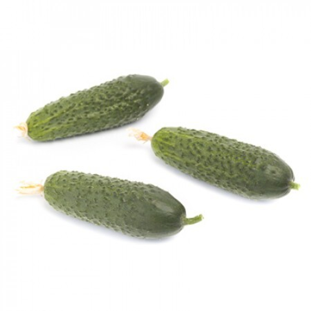 Огурец Кибрия F1 (50шт) Витагрин Профи