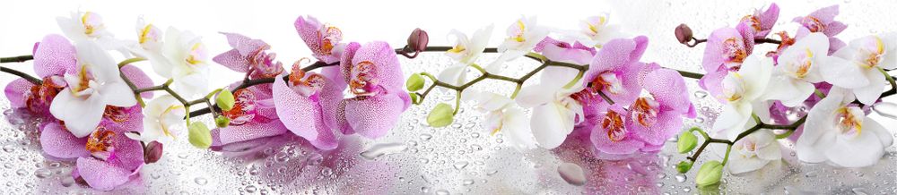 Стеновая панель 2800*610*6 (SP-090 глянец)