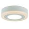 Потолочный светодиодный светильник Arte Lamp Antares A7806PL-2WH