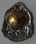 Знак «Эсминец „Бесстрашный“, Северный Флот»