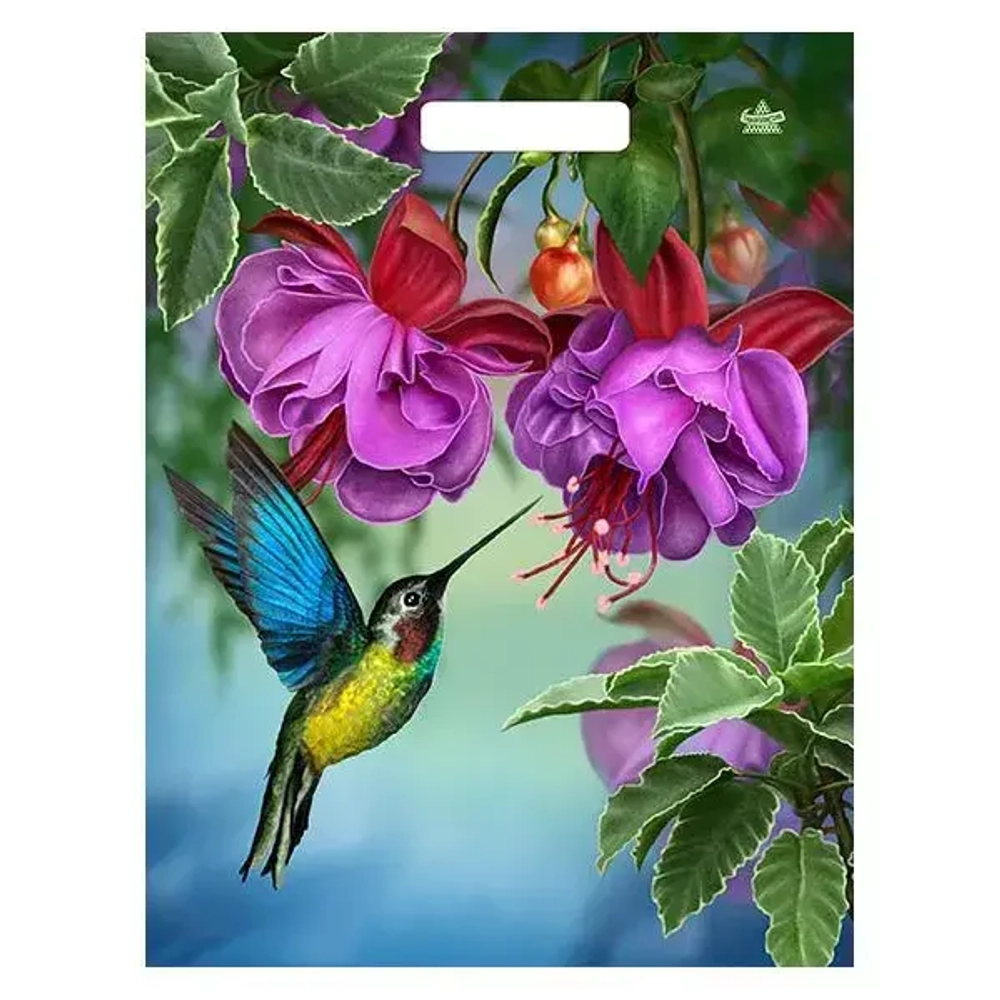 Пакет ПЭ с вырубной ручкой 31+6Тико глянец (Колибри в цветах) Р (комплект 50 шт)