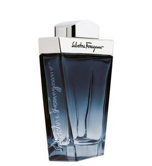 Salvatore Ferragamo Subtil Pour Homme