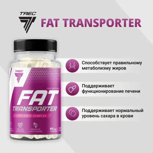 Fat Transporter